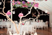 Get Knotted Weddings, Events and Flowers 1103043 Image 9